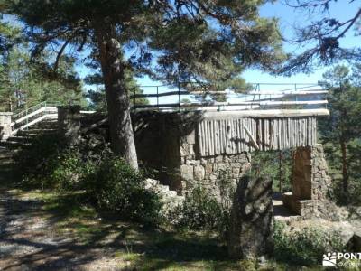 Pinares Navafría - Montes Carpetanos balcon de pilatos la senda de camille bosque irati navarra via 